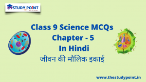 Class 9 Science MCQs Chapter – 5