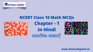 Read more about the article Class 10 Math MCQs Chapter 1 वास्तविक संख्या