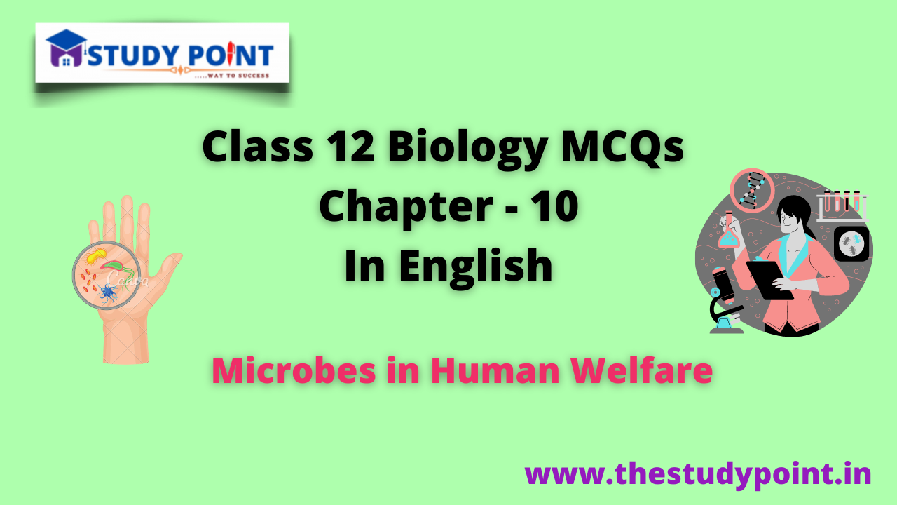 Read more about the article Class 12 Biology MCQs Chapter – 10