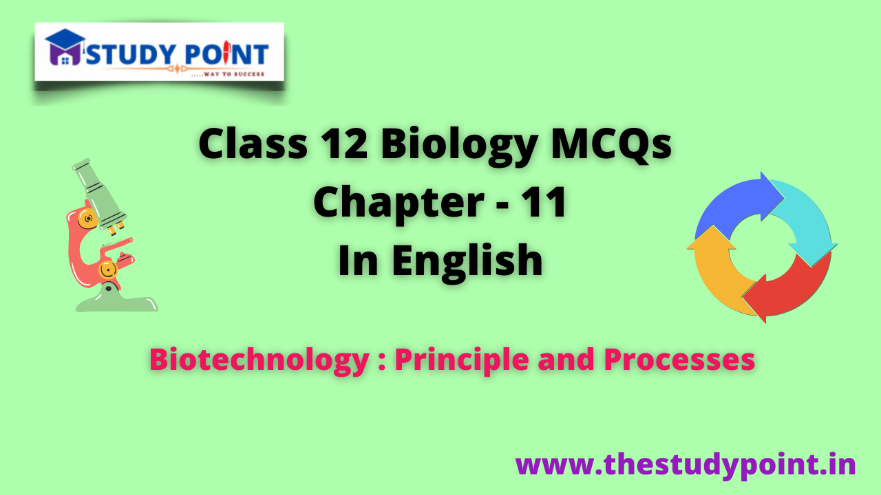 Read more about the article Class 12 Biology MCQs Chapter – 11