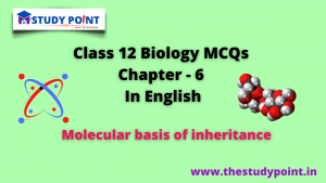 Read more about the article Class 12 Biology MCQs Chapter – 6