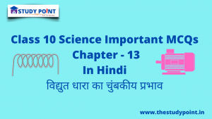 Read more about the article Class 10 Science MCQs Chapter -13