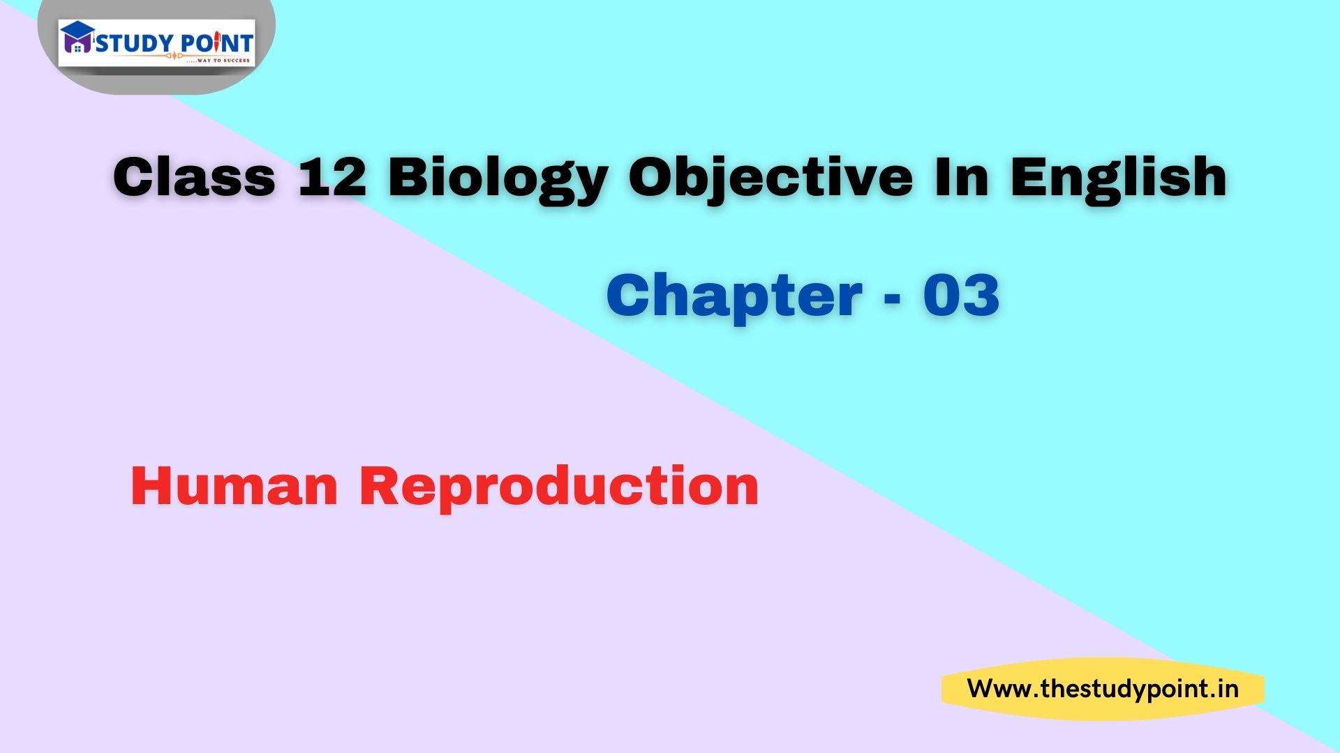 Read more about the article Class 12 Biology Objective In English Chapter – 3 Human Reproduction