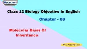 Read more about the article Class 12 Biology Objective In English Chapter – 6 Molecular Basis Of Inheritance