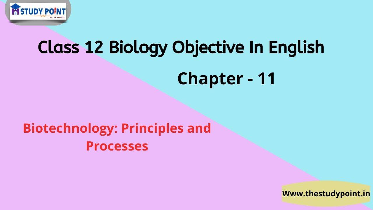Read more about the article Class 12 Biology Objective In English Chapter – 11 Biotechnology: Principles and Processes