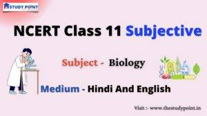 Read more about the article NCERT Class 11 Biology Subjective