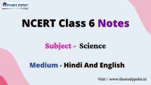 Read more about the article NCERT Class 6 Science Notes