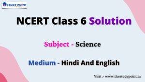 Read more about the article NCERT Solution For Class 6 Science
